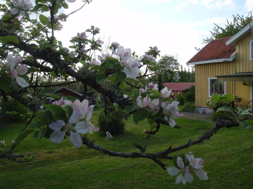 Stf Lugnasberget Ekohotell Mariestad Dış mekan fotoğraf